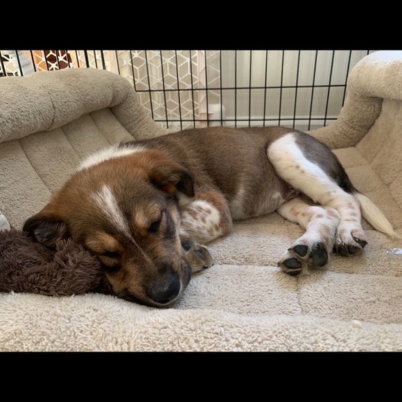 Meet the posher - Picture 2 of 5